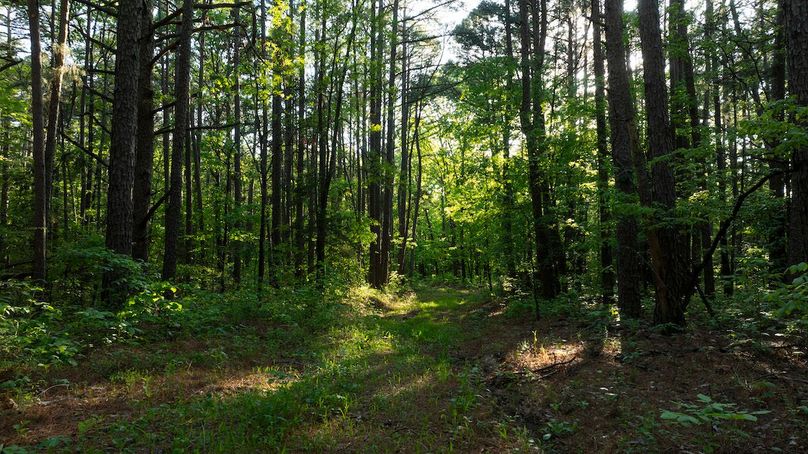 Douglas MO Pro Photo_23