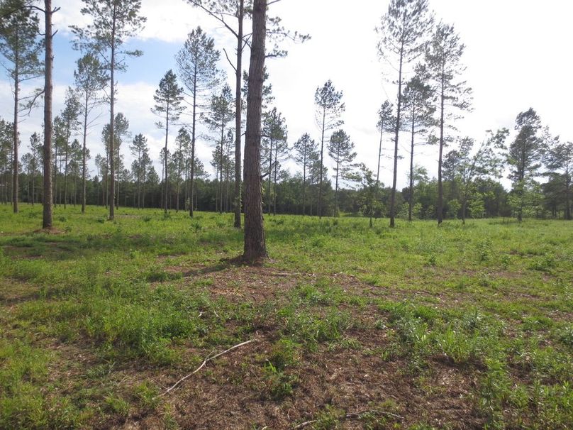 E0AE1953-ACC7-4859-85F5-0CA687854D6F_1_105_c