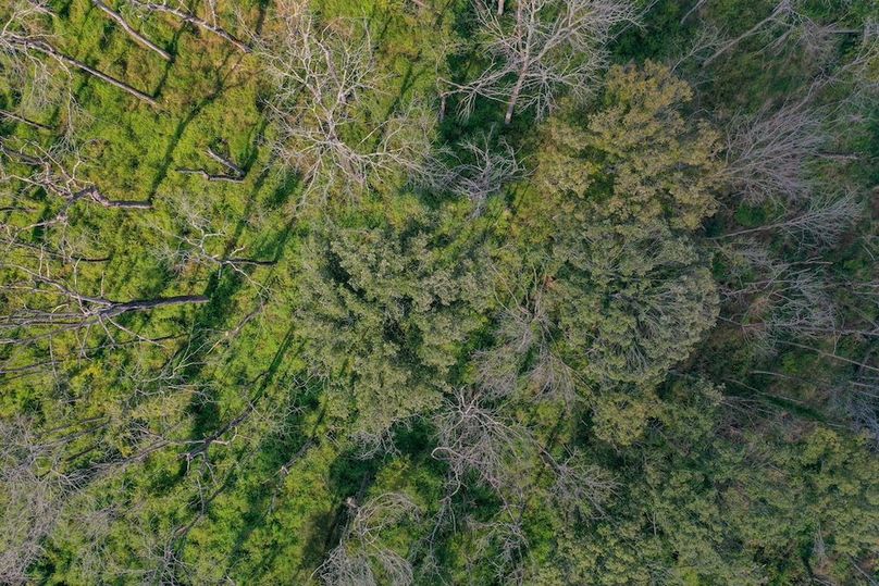 14-web-or-mls-DJI_0849