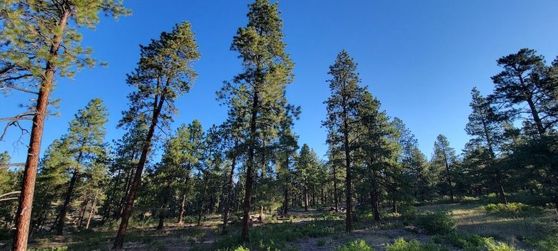 Copy of 20210827_080323 (1)