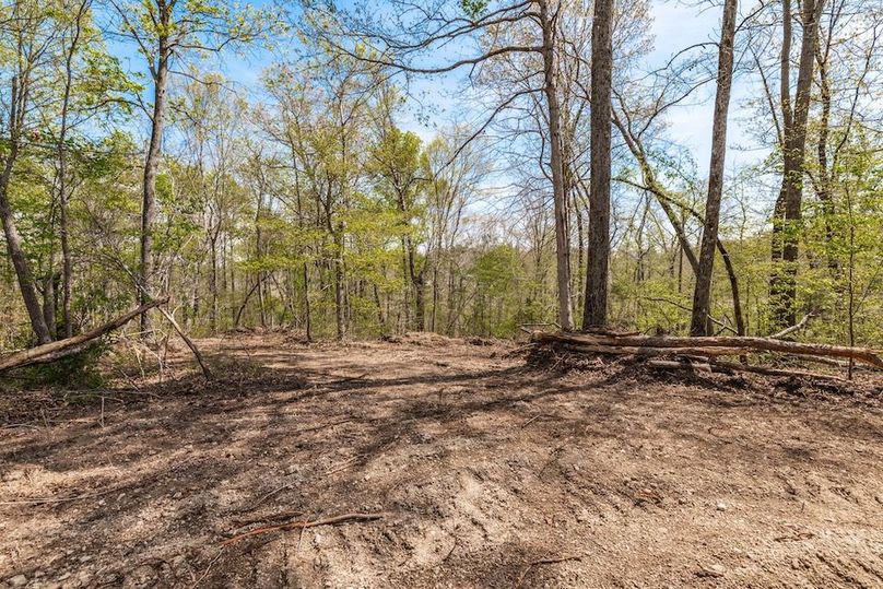 58-web-or-mls-0 Mound Creek Rd-28