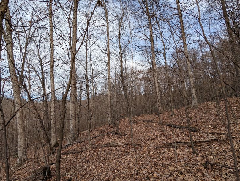 PXL_20230213_162414382