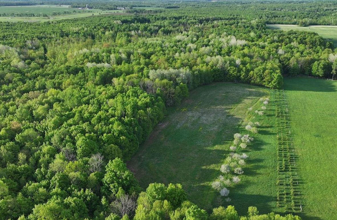 DJI_20260530053613_0106_D