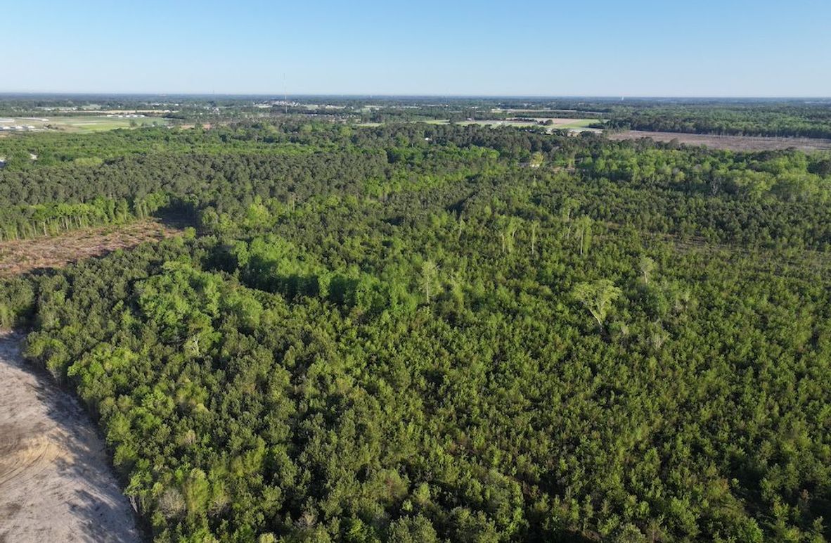 DJI_20250417072755_0002_D