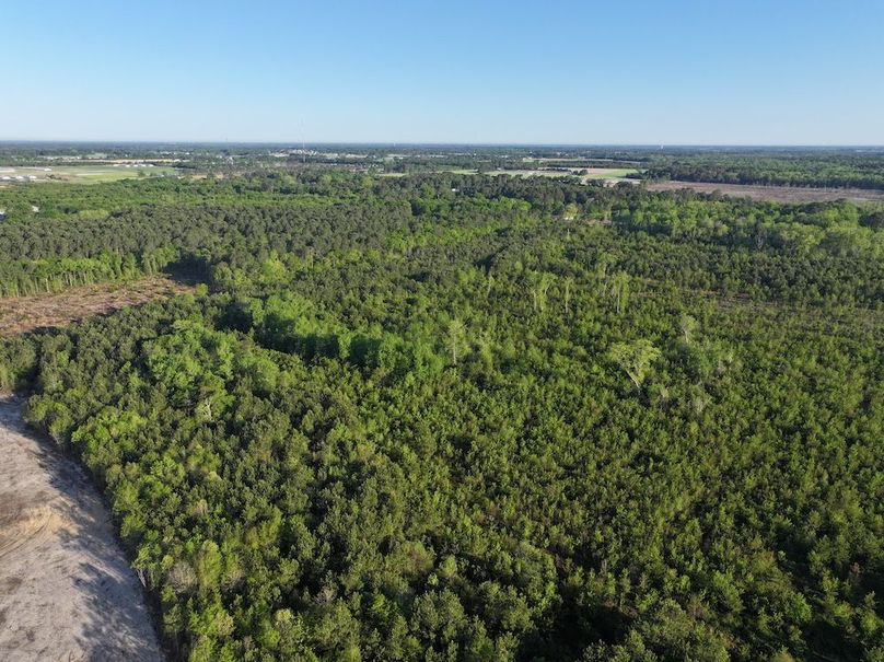 DJI_20250417072755_0002_D
