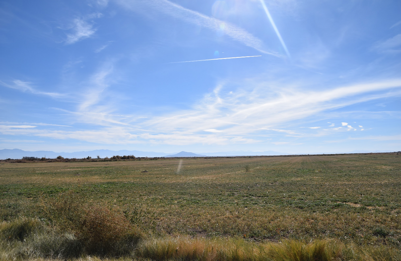 Photo #4