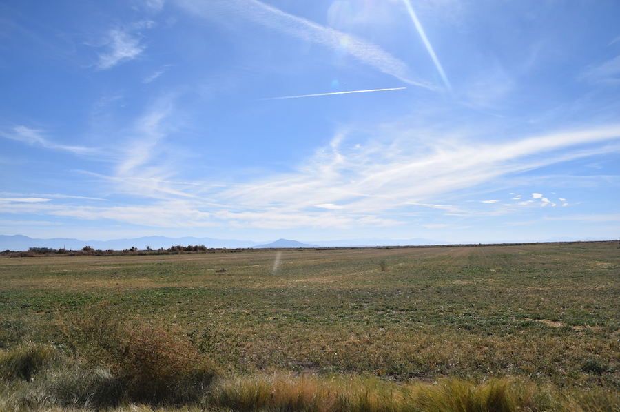 Photo #4