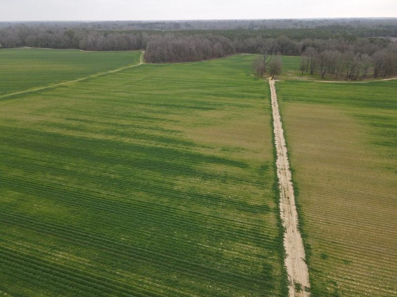 dji_fly_20260106_103816_782_1767987402775_photo