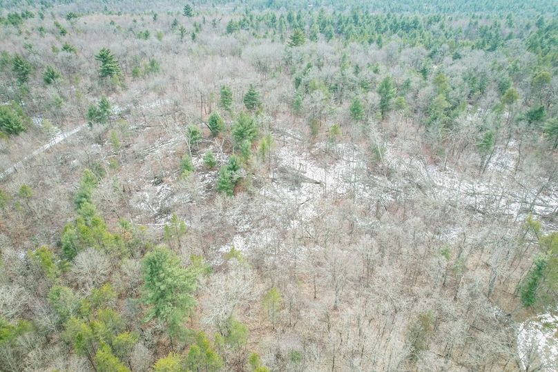 Adams 10.06 Johnson-66