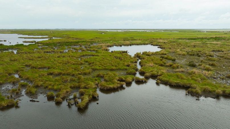 Cameron Parish LA 3,556 Pro Photo-116