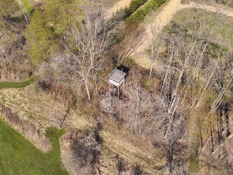 120 Custom Central Blind