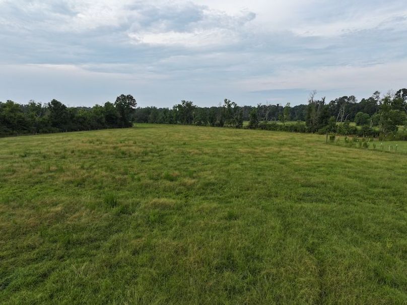 dji_fly_20250730_082154_0303_1753888803364_photo