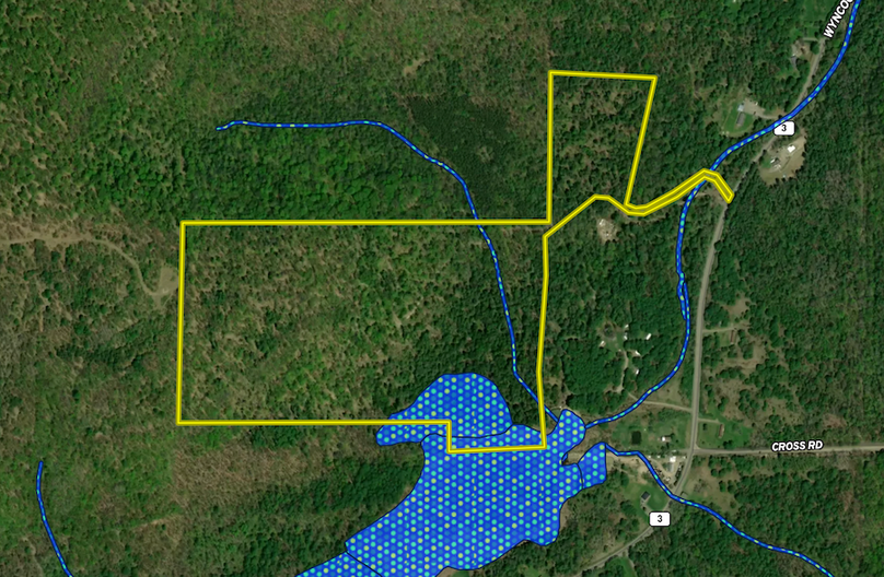 Chemung_60.55_Baumunk Land ID Map 3
