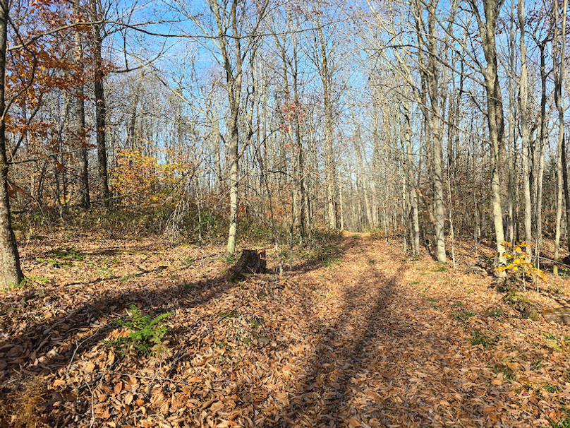 photo_f99fe2c7-1b5f-46a6-9b18-ccc021bddcfc