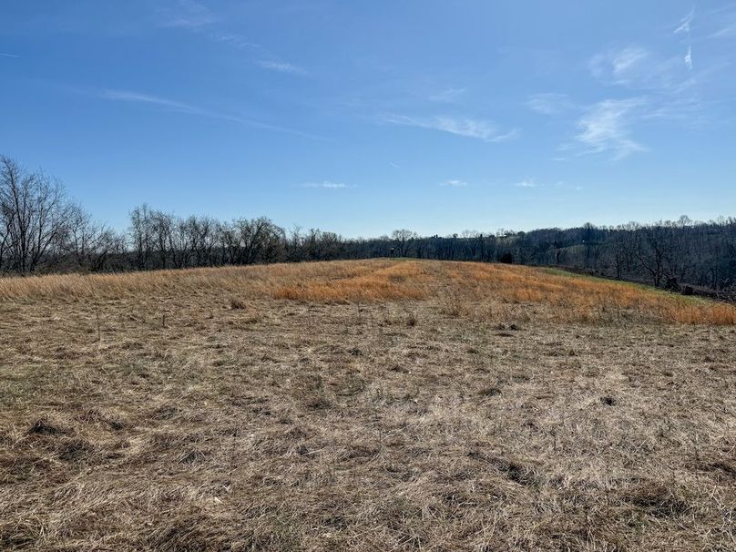 Fleming Petry 115-29