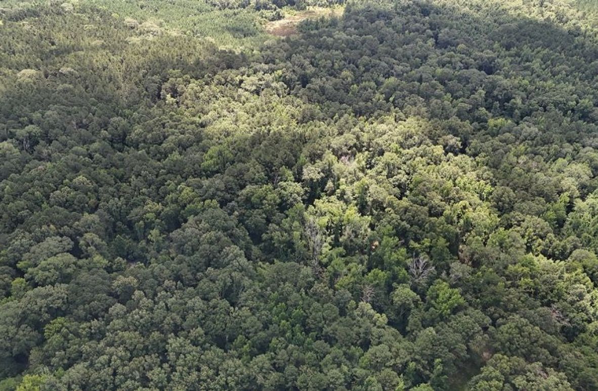 DJI_20250625011812_0676_D