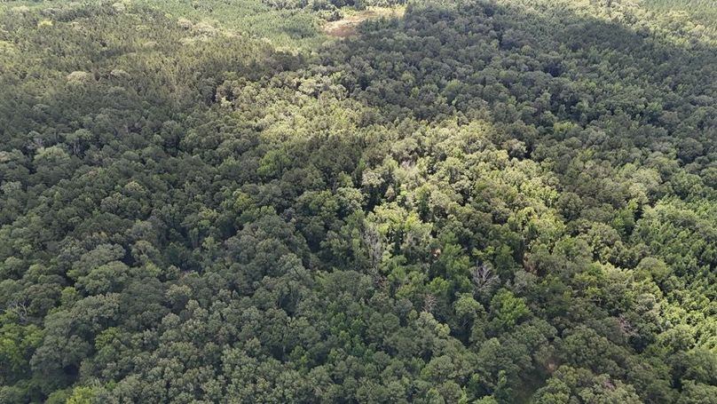 DJI_20250625011812_0676_D