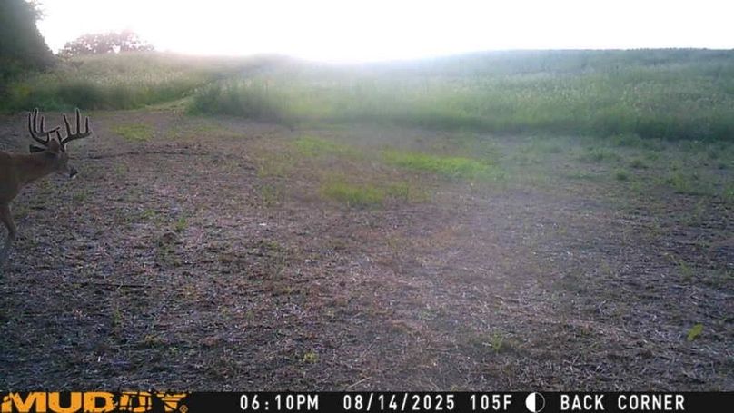 25081418101001002504_ColorizationType.none