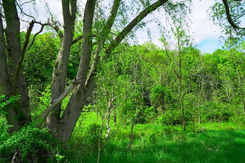 DSC00256