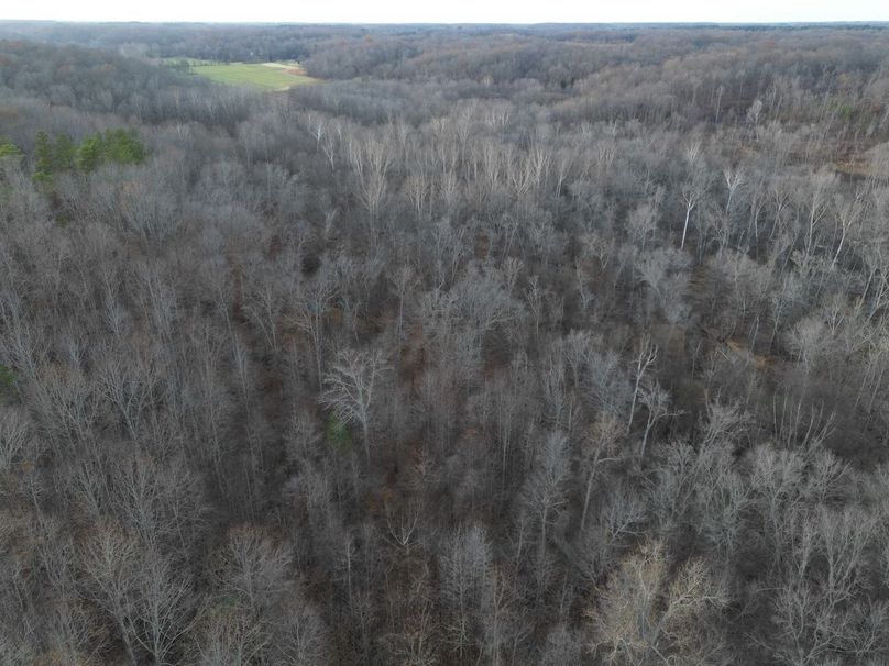 dji_fly_20231130_052230_257_1701905206305_photo