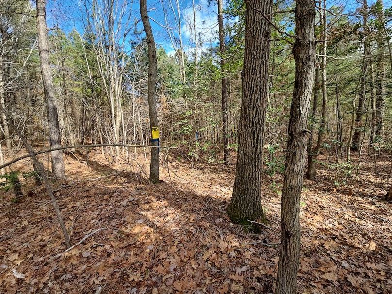 Romancoke_QAnnes_PIC_014