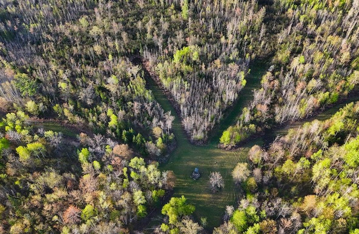 DJI_20260516065128_0045_D