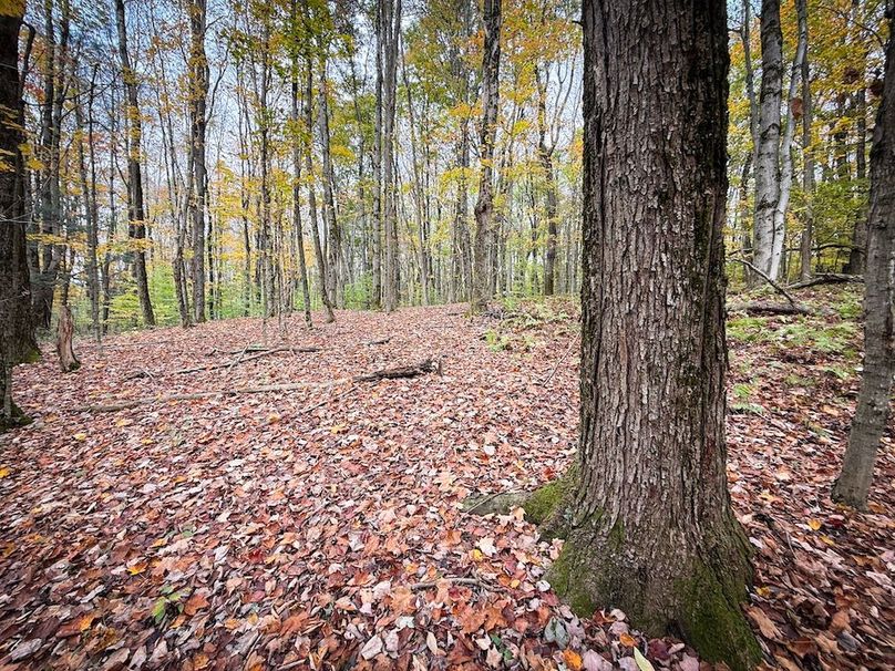 Oswego NY 6.68 Photos 29