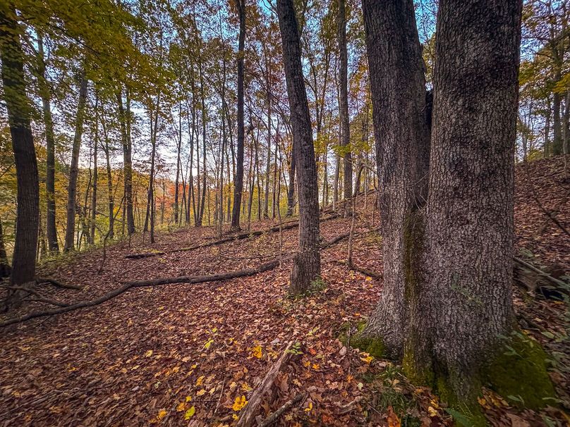 Wirt, WV 43 AC Berry-18