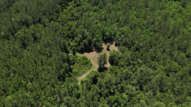 DJI_20240516123941_0010_D