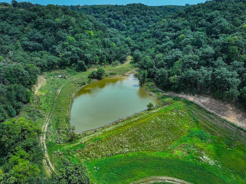 New Albin 8_8 edits-49