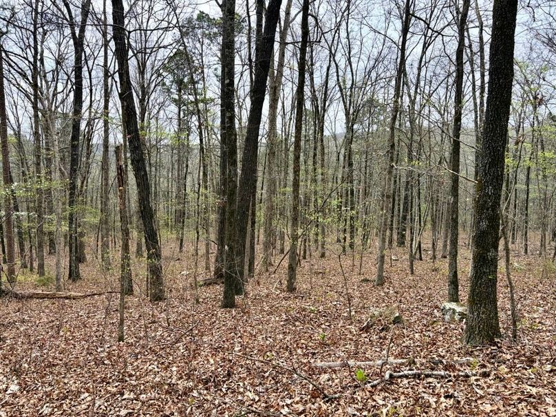 C857B93A-59CB-4B19-AA87-EB965CFC3B80_1_201_a