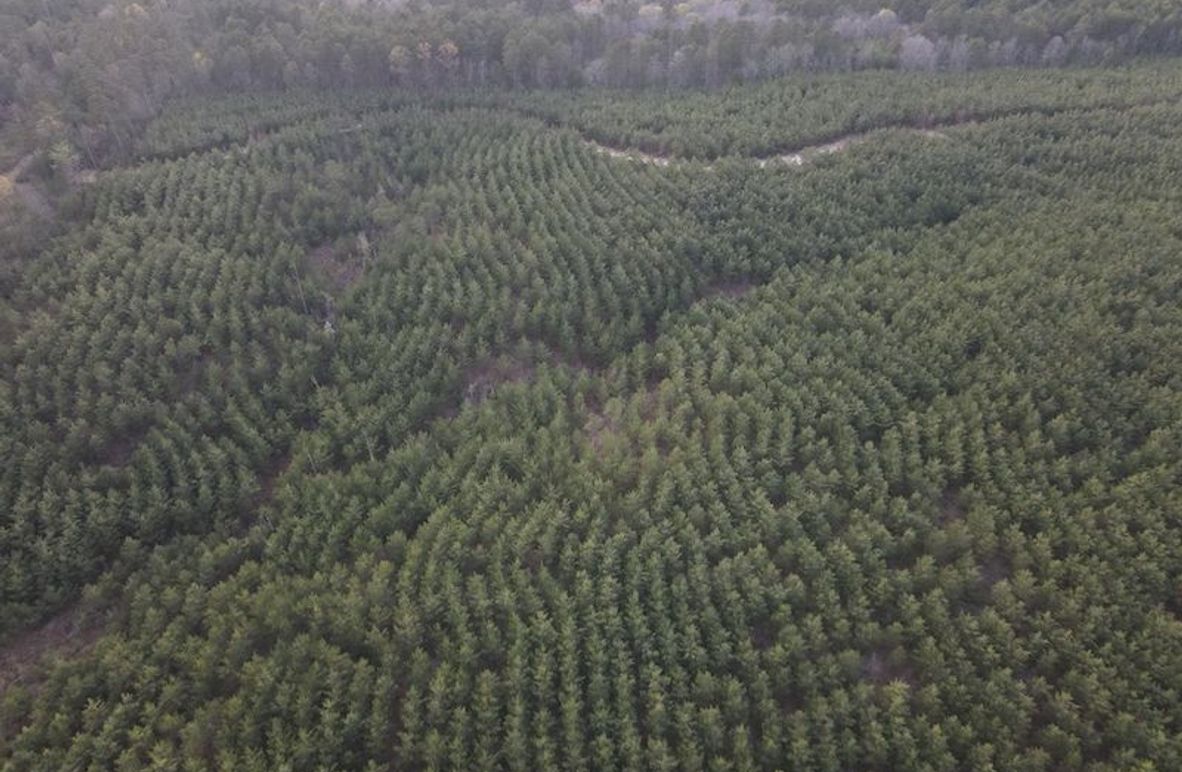 DJI_0117