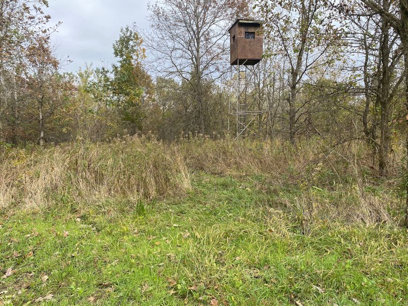 pics from late 2021 and early 2022. New plots being planted in Aug 2023 for new pics (71)