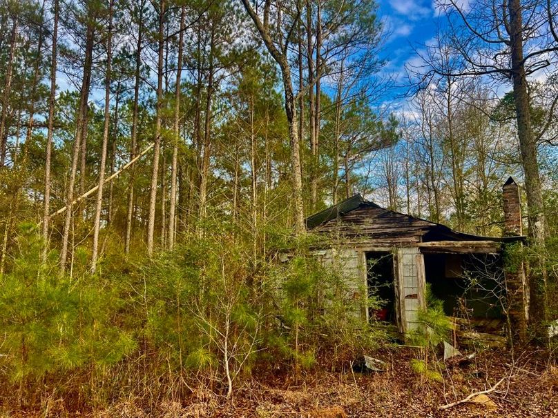 4BAD8CBE-0066-4477-BFD1-6602D32FACB7_1_201_a