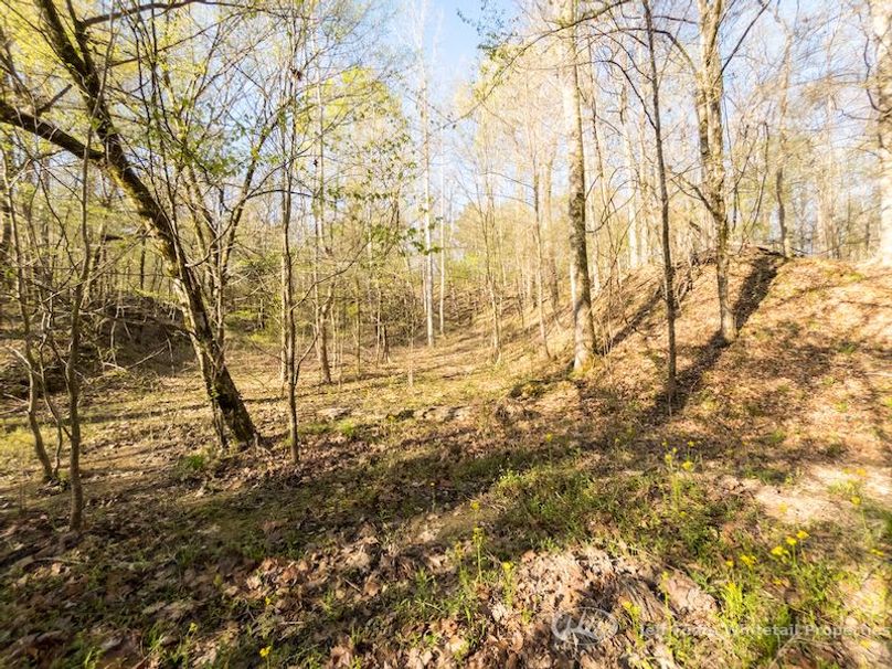 Warren Co - 45.5 - Bockman-80