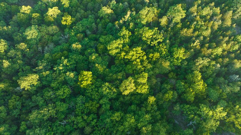 Webster MO 106 Featured_Pro Photo-20