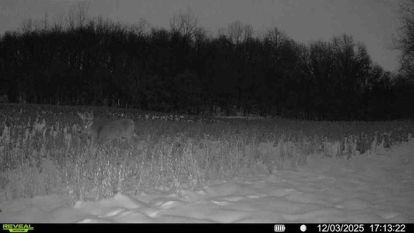 016578002608922-81-4-12032025173235-HD-SYFW11333