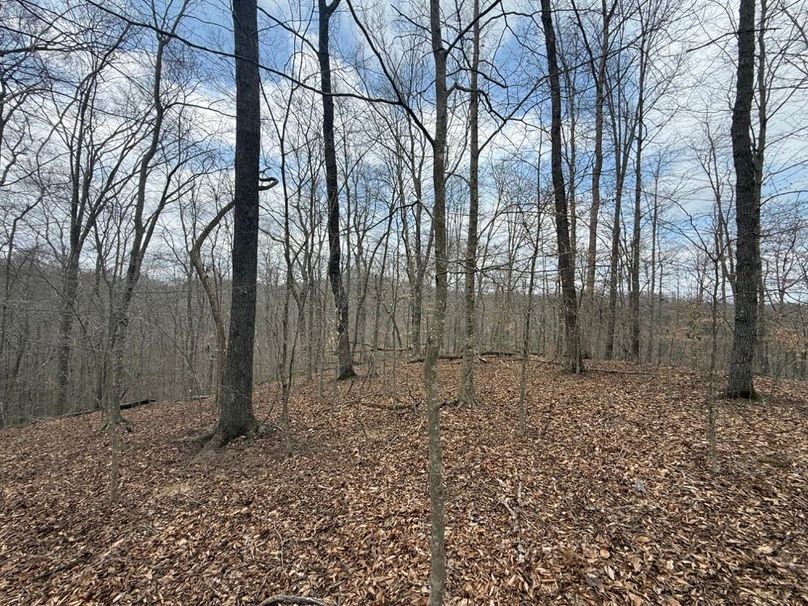 026 what a peaceful view atop this forested point