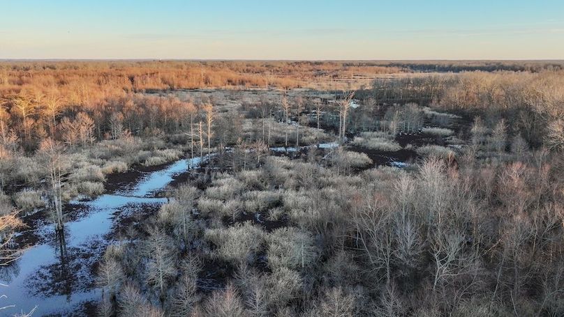 St. Francis 138.5 Calvin Parker Farms Profile -14