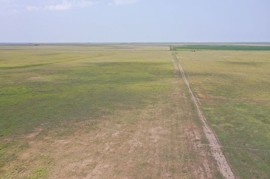 DJI_0217