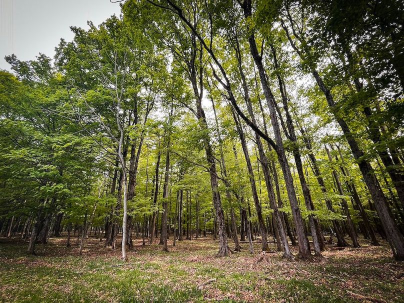 Cayuga_136_Clark_Photos_32