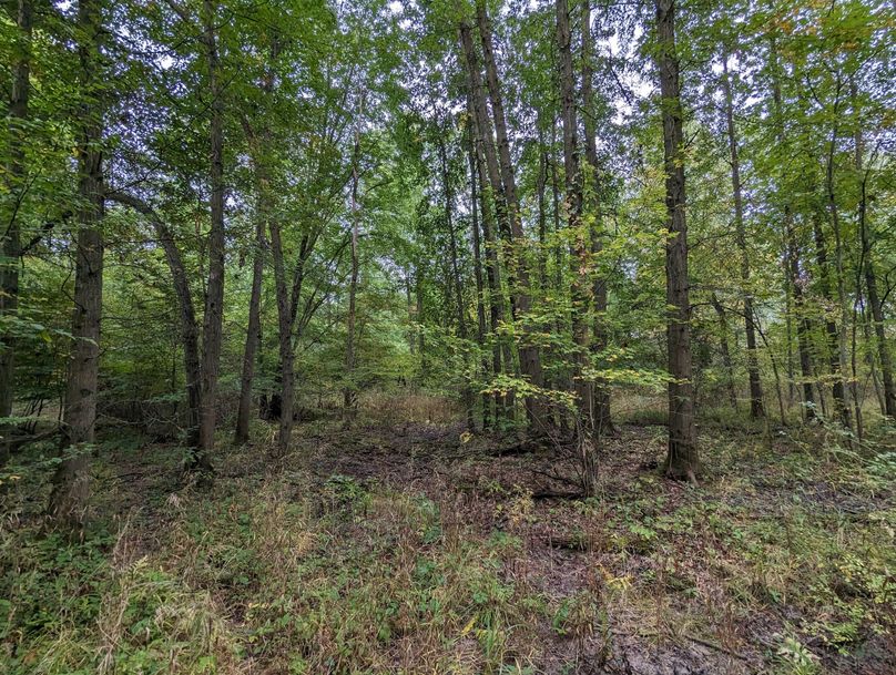 PXL_20230925_223323543