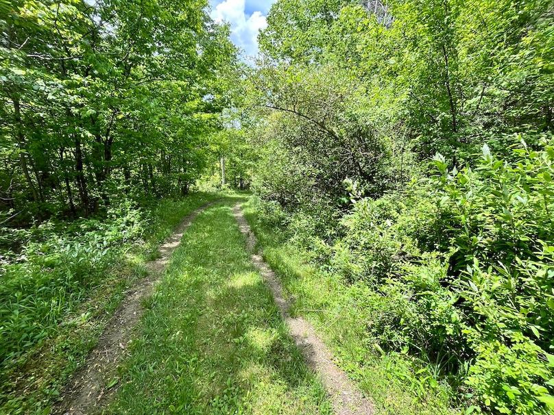 Tioga_78_Biada_Photos_38