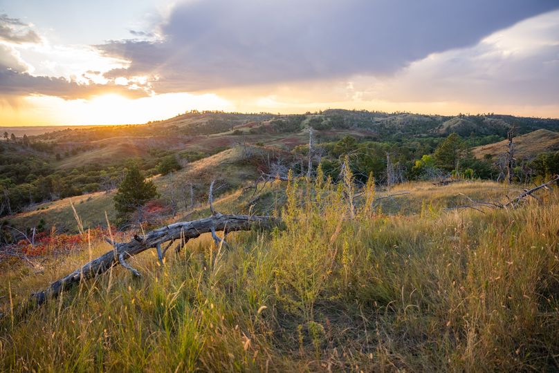 Keya Paha NE 2700_Pro Photo-117