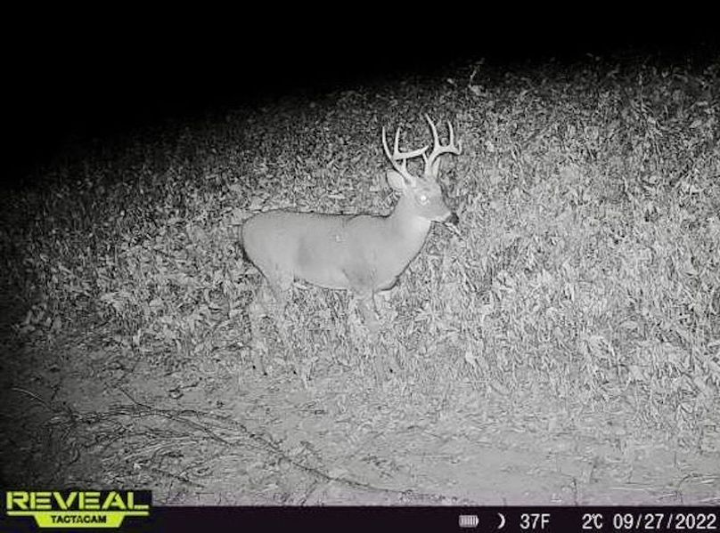 865519049947982-80-4-09272022012616-W1000940