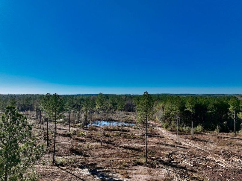 B7914223-95D6-4792-B6AB-B020B75A7A85_1_201_a