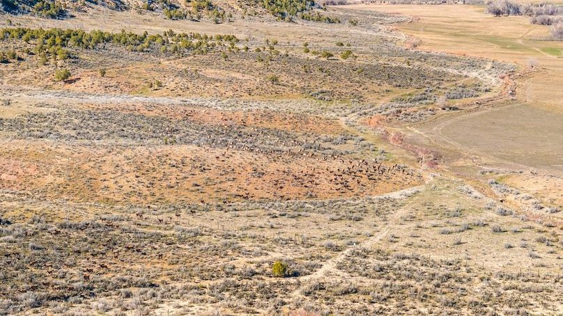 DJI_20260304155123_0015_D