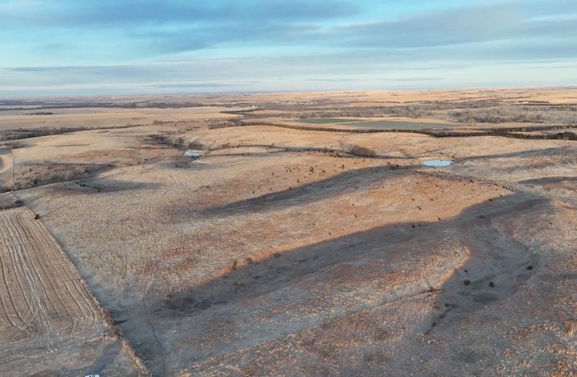 Screen Shot 2024-12-19 at 2.27.11 PM