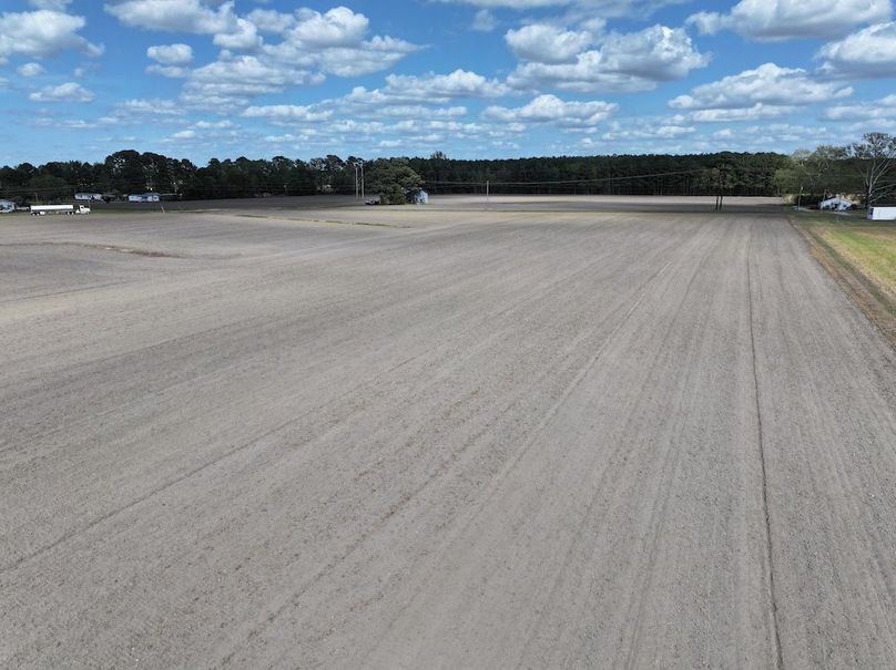 dji_fly_20260315_120812_0526_1775758693040_photo