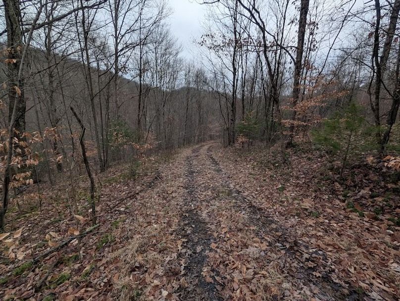 PXL_20260107_212144566.MP